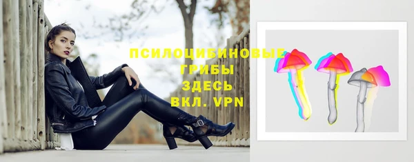 сатива Каменск-Шахтинский