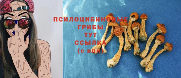 сатива Каменск-Шахтинский