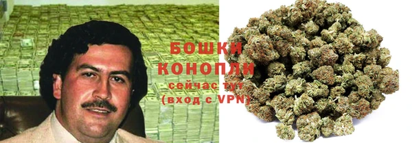 сатива Каменск-Шахтинский